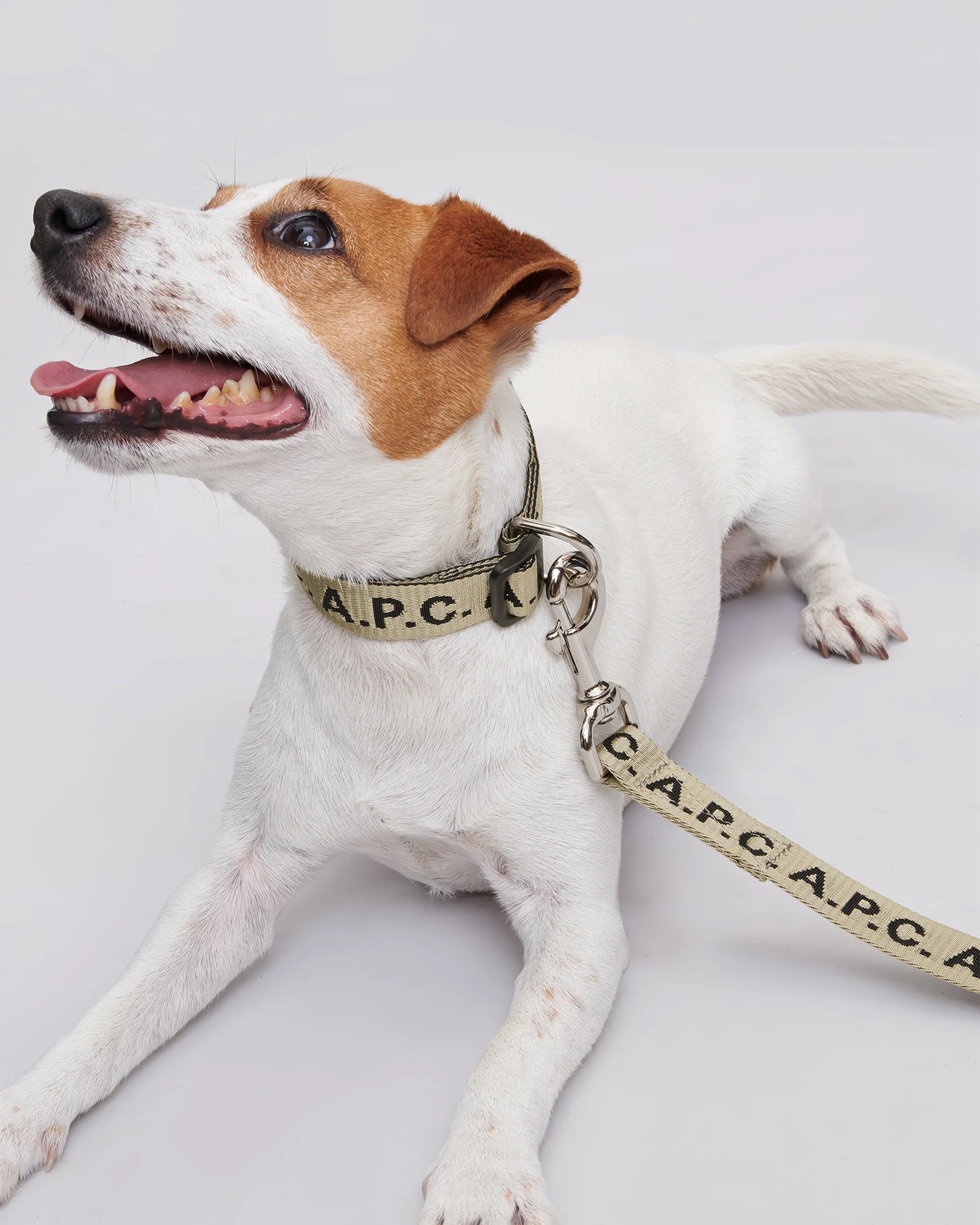 Outdoor accessories A.P.C. Toutou Dog Leash - PAAGQ-M66074-CAA