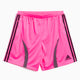 adidas Performance Teamgeist Adicolor Herren-Shorts