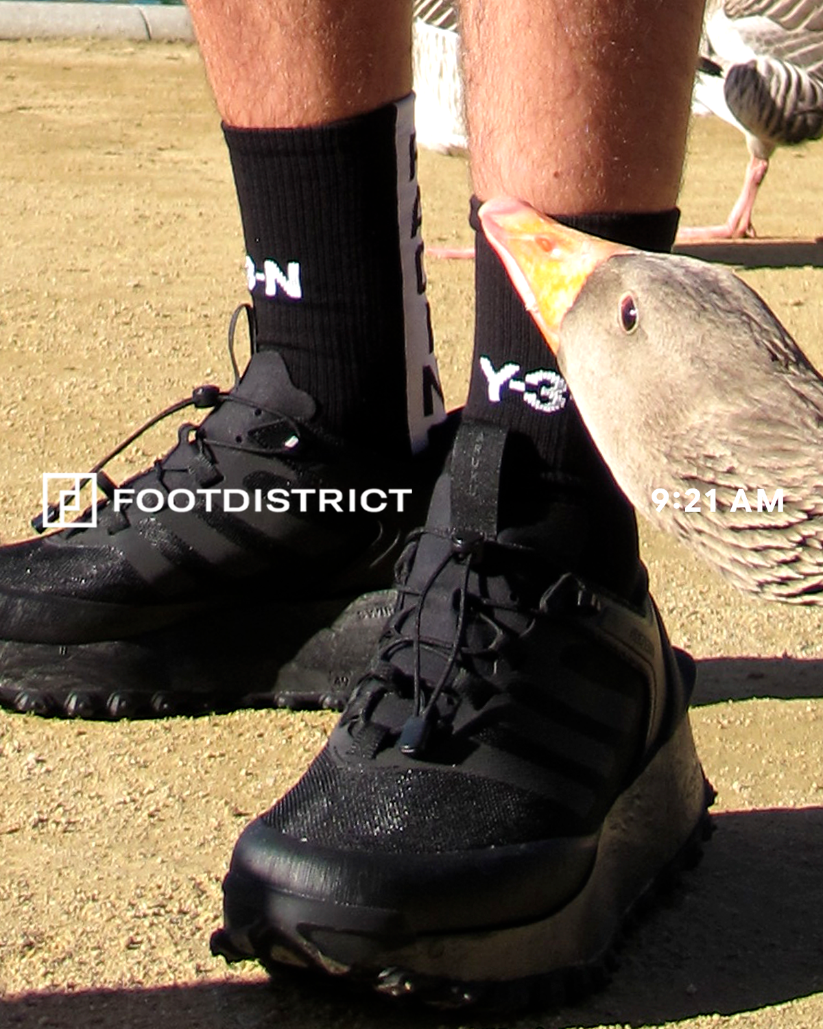 Sneakers adidas Originals Adizero Aruku Yagi Mr Bailey - KJ3816