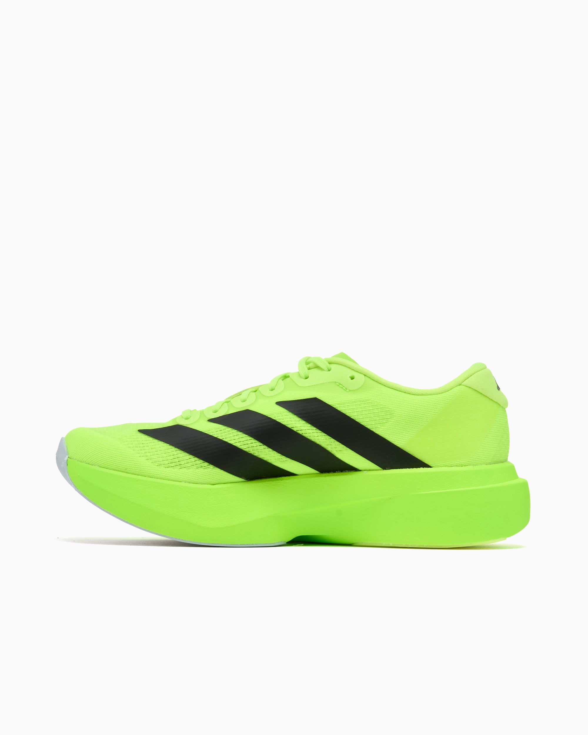 Sneakers adidas Performance Adizero Evo SL Continental - JR5839