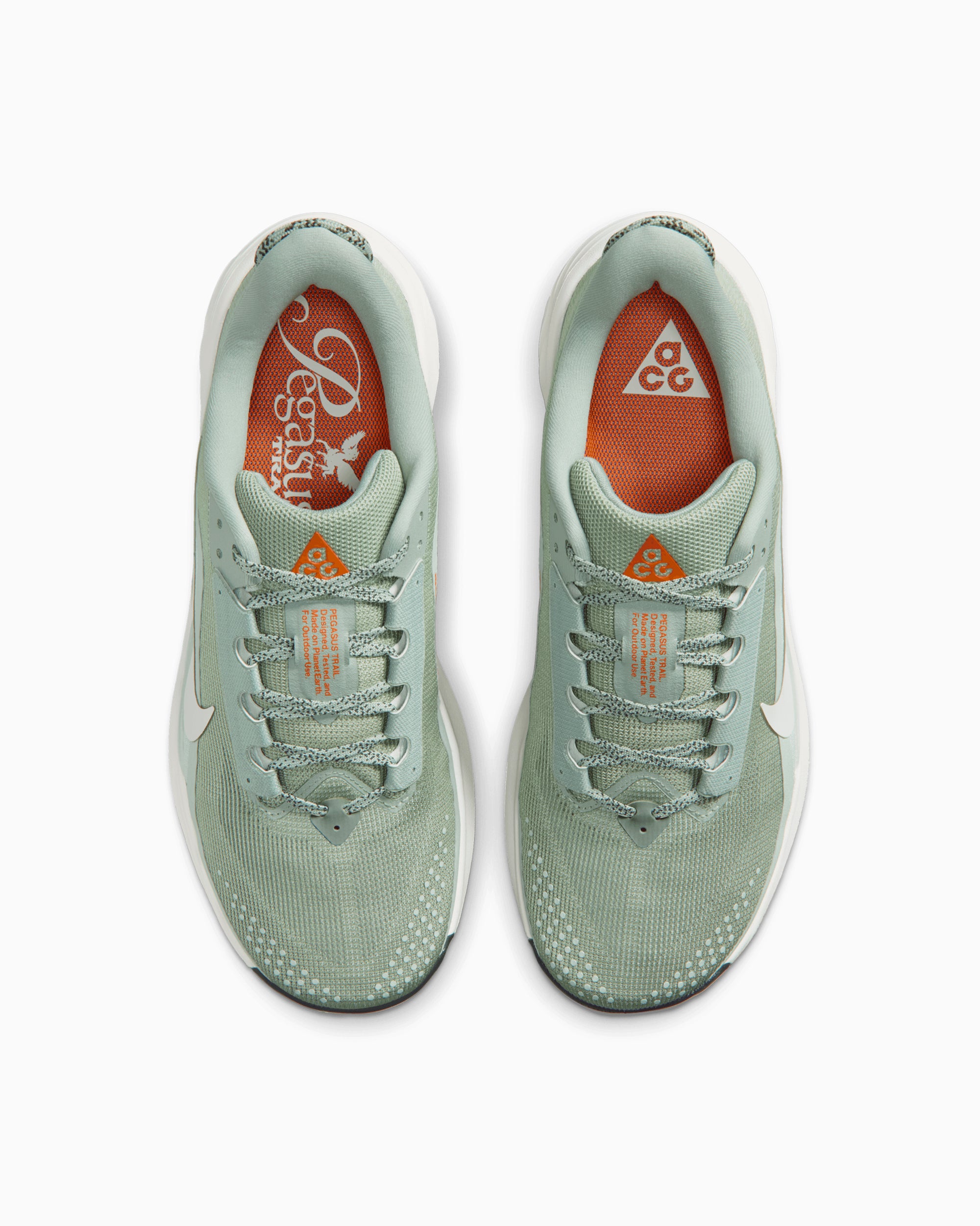 Sneakers Nike ACG Pegasus Trail - HV8116-310