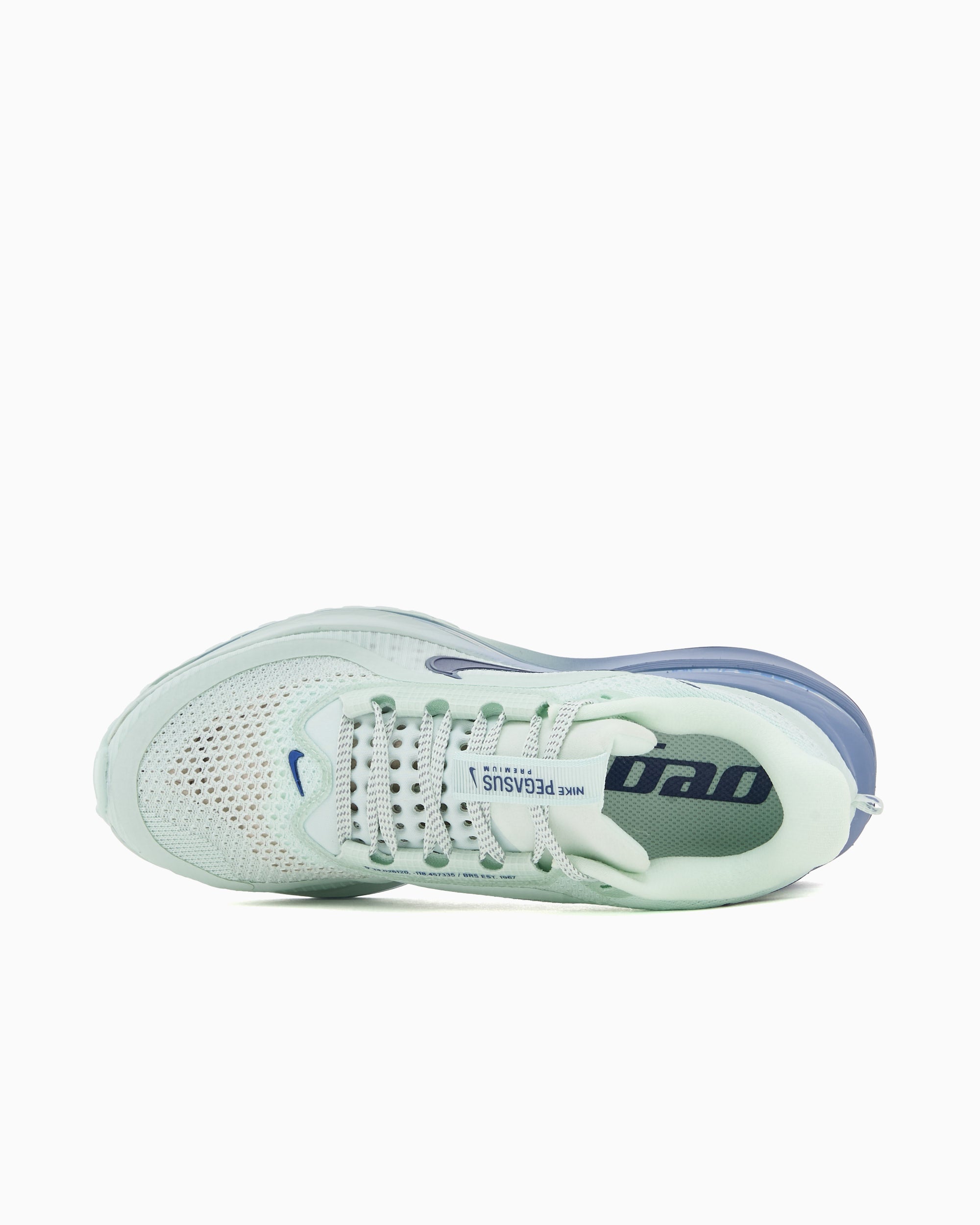 Sneakers Nike Women's Pegasus Premium - HQ2593-301