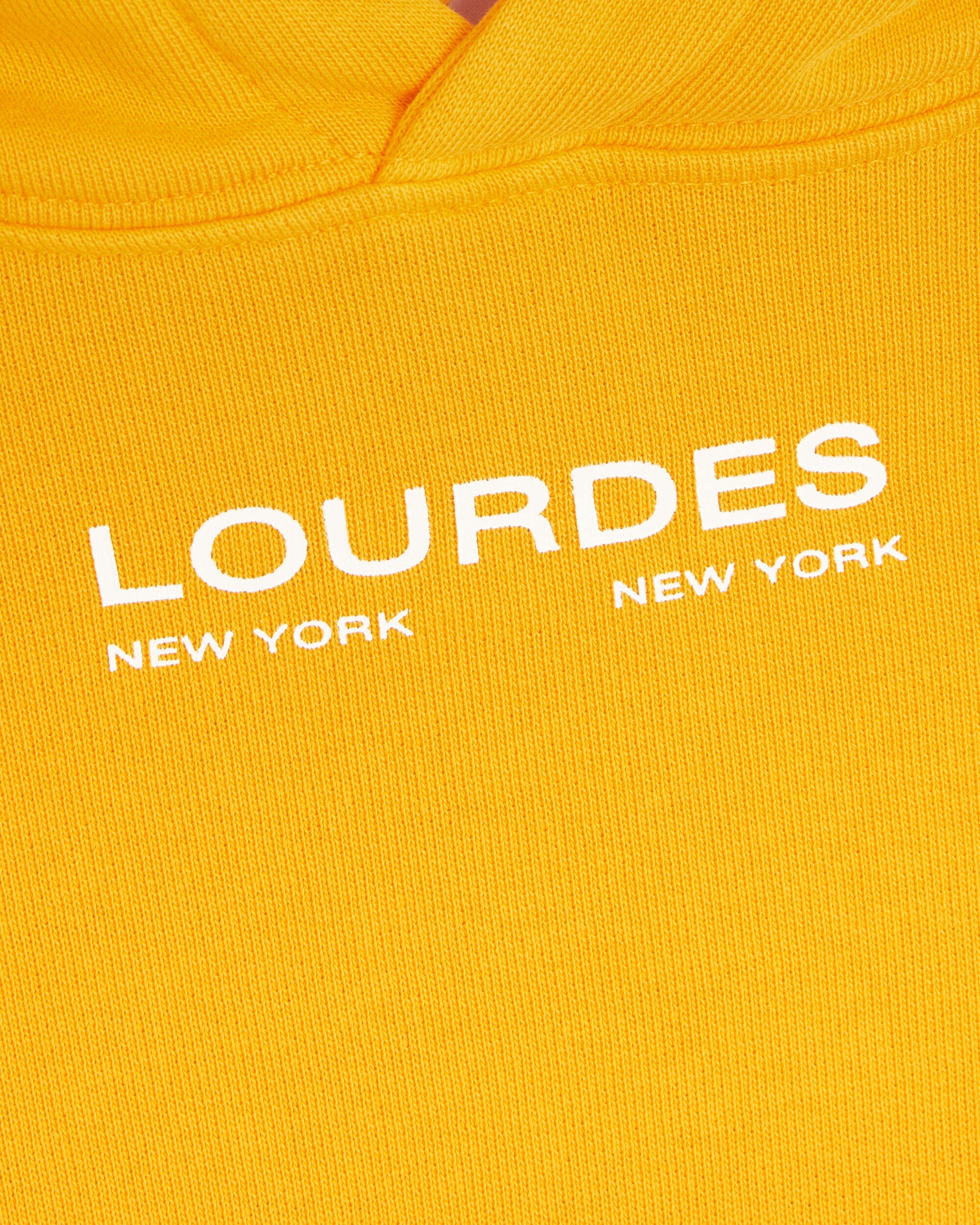 Sweatshirts Lourdes New York Lourdes Unisex Graphic Hoodie Unisex Hoodie - LOF1XF02AP-JE177.113