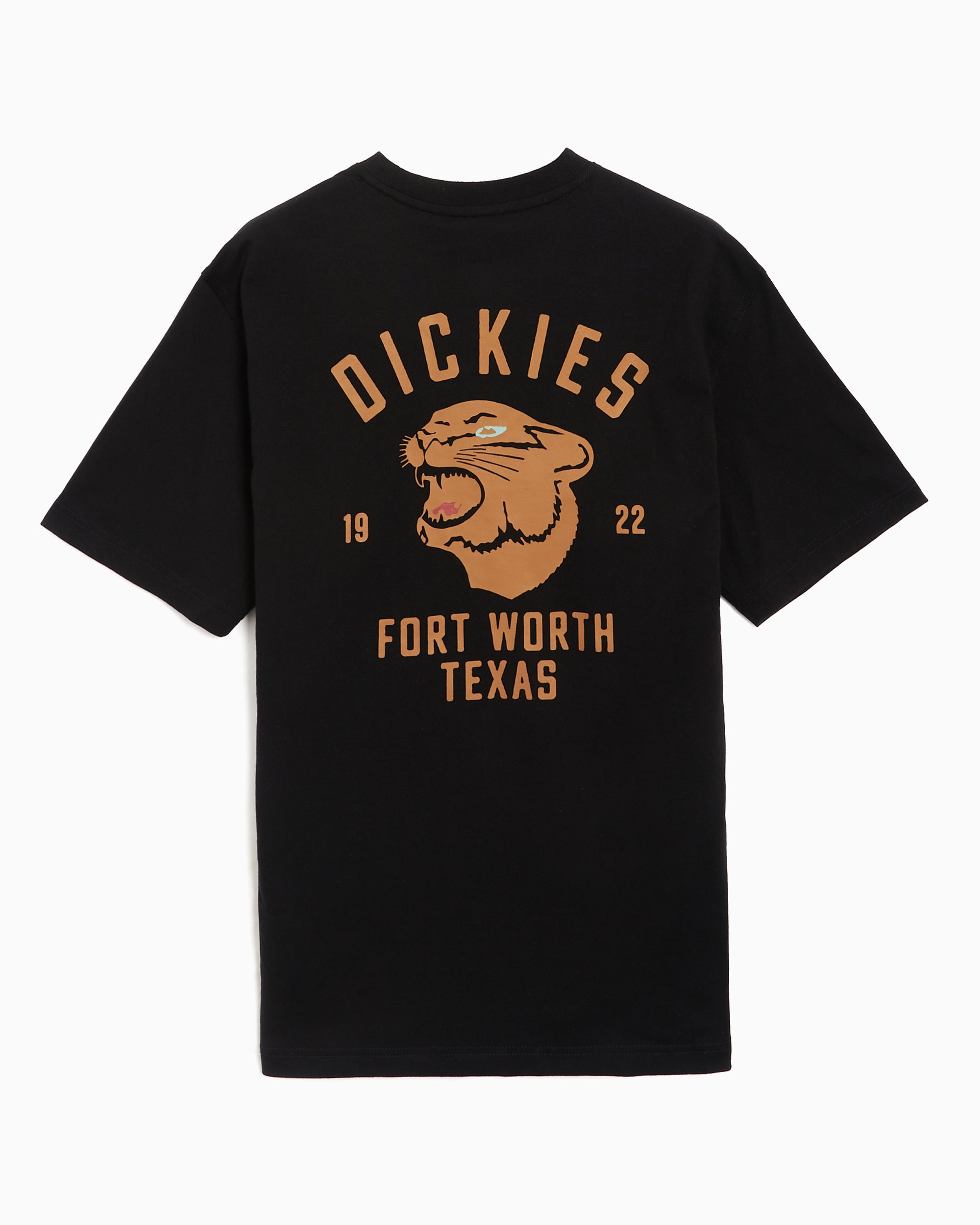 T-Shirts Dickies Panther Graphic Relaxed Men's T-Shirt - DK0A4Z4IBLK1