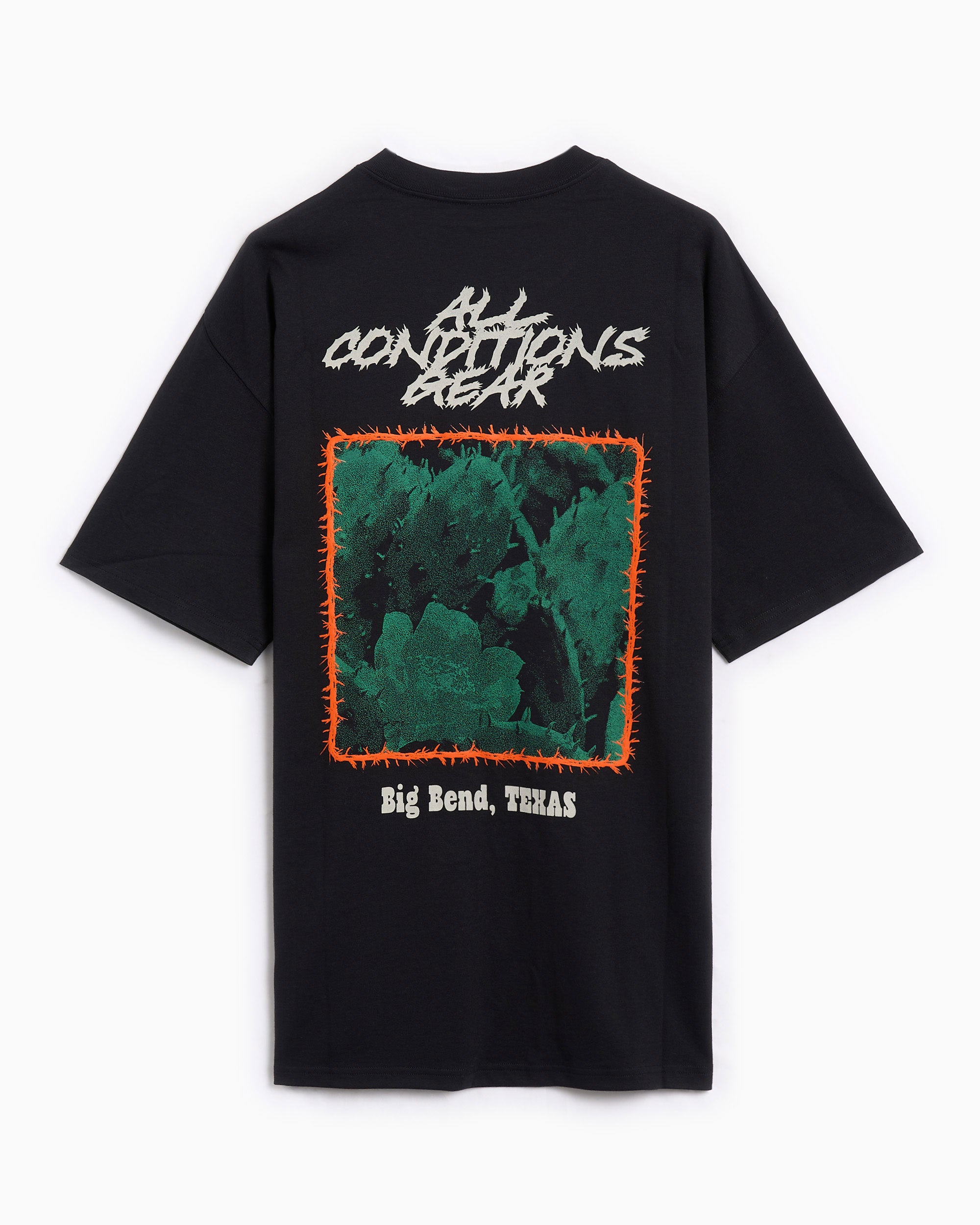 T-Shirts Nike ACG OC Cactus Dri-FIT Graphic Relaxed Men's T-Shirt - HV1292-010