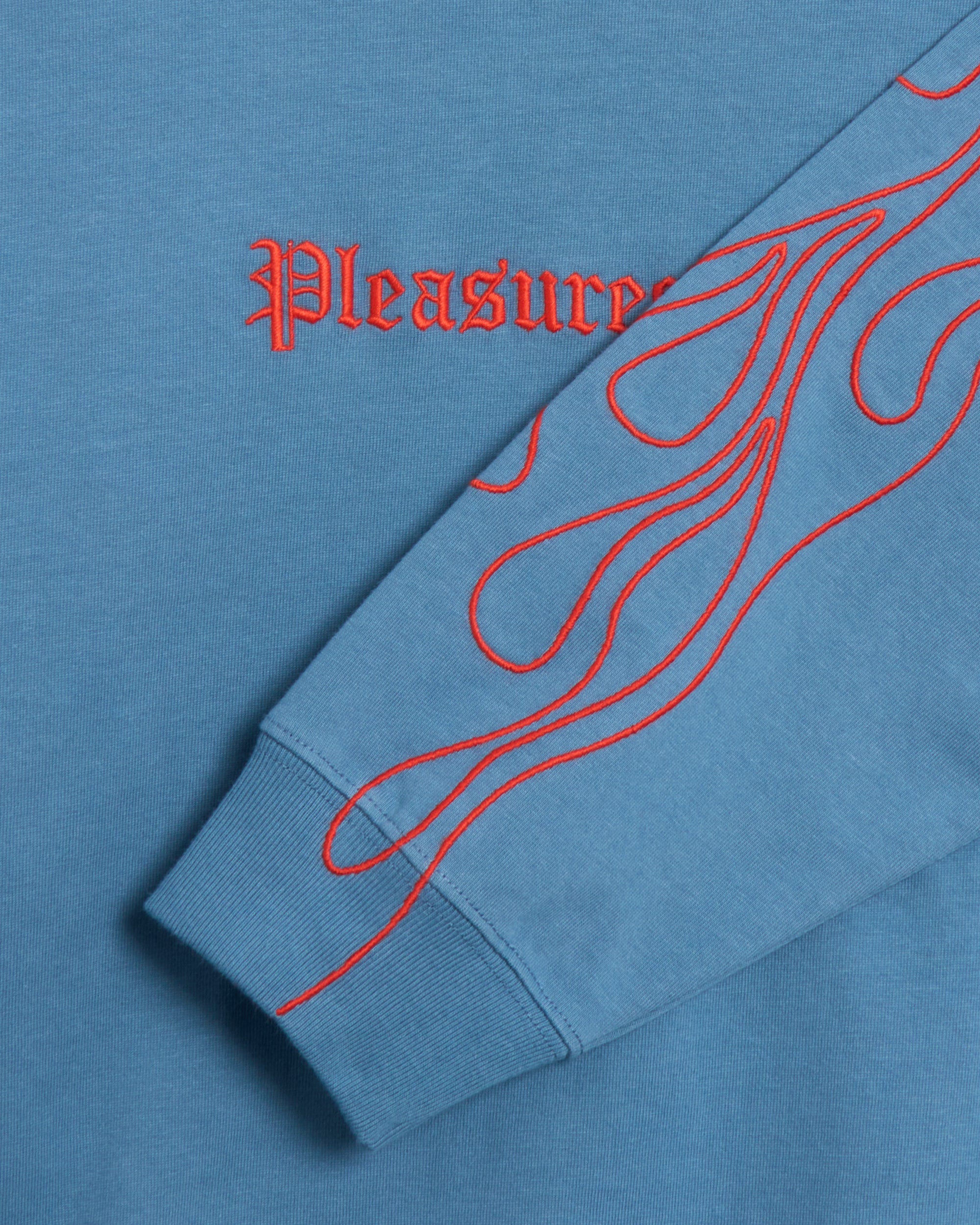 T-Shirts Pleasures Fiery Heavyweight Men's Longsleeve T-Shirt Men's T-Shirt - P24W027-SLATE