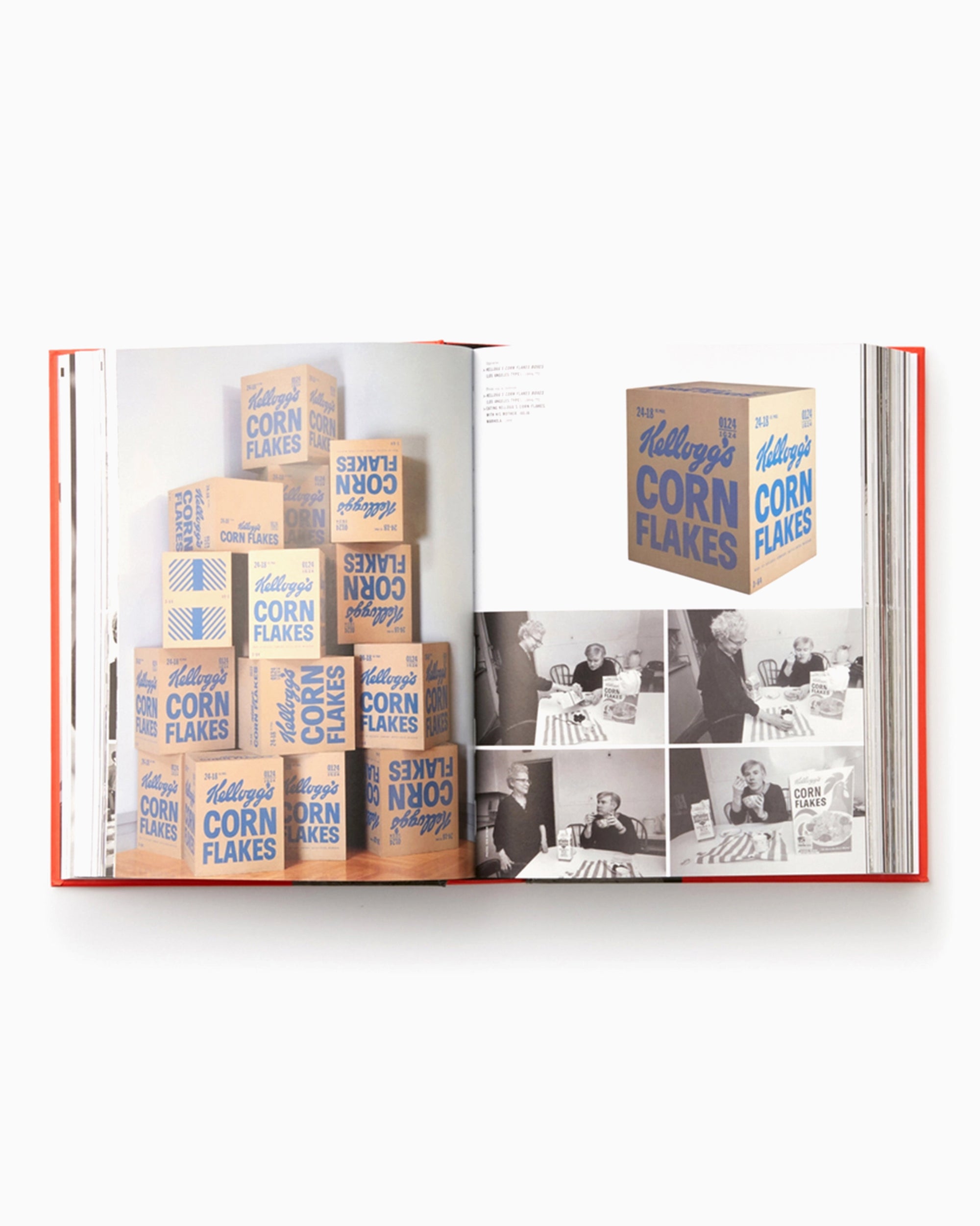 Books Magazines Andy Warhol "Giant" Size - Mini Format Phaidon Editors By Dave Hickey - 9780714877303