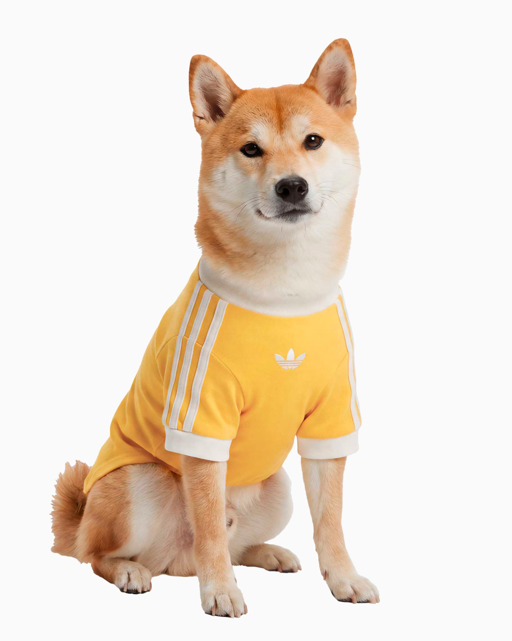 Outdoor accessories adidas Originals Cali Pet T-Shirt - KY8731
