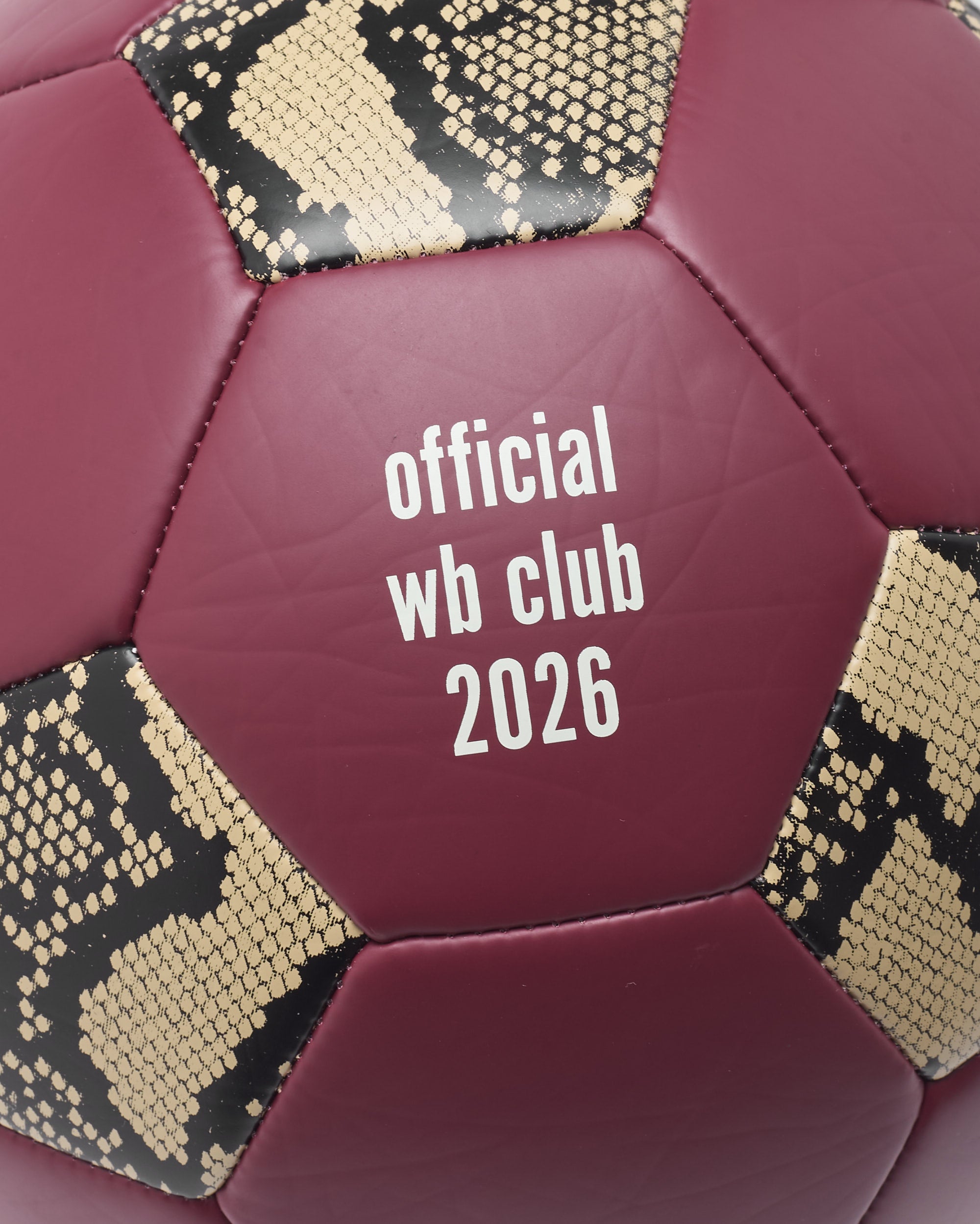 Outdoor accessories adidas Originals x Wales Bonner Football Ball - KF1073