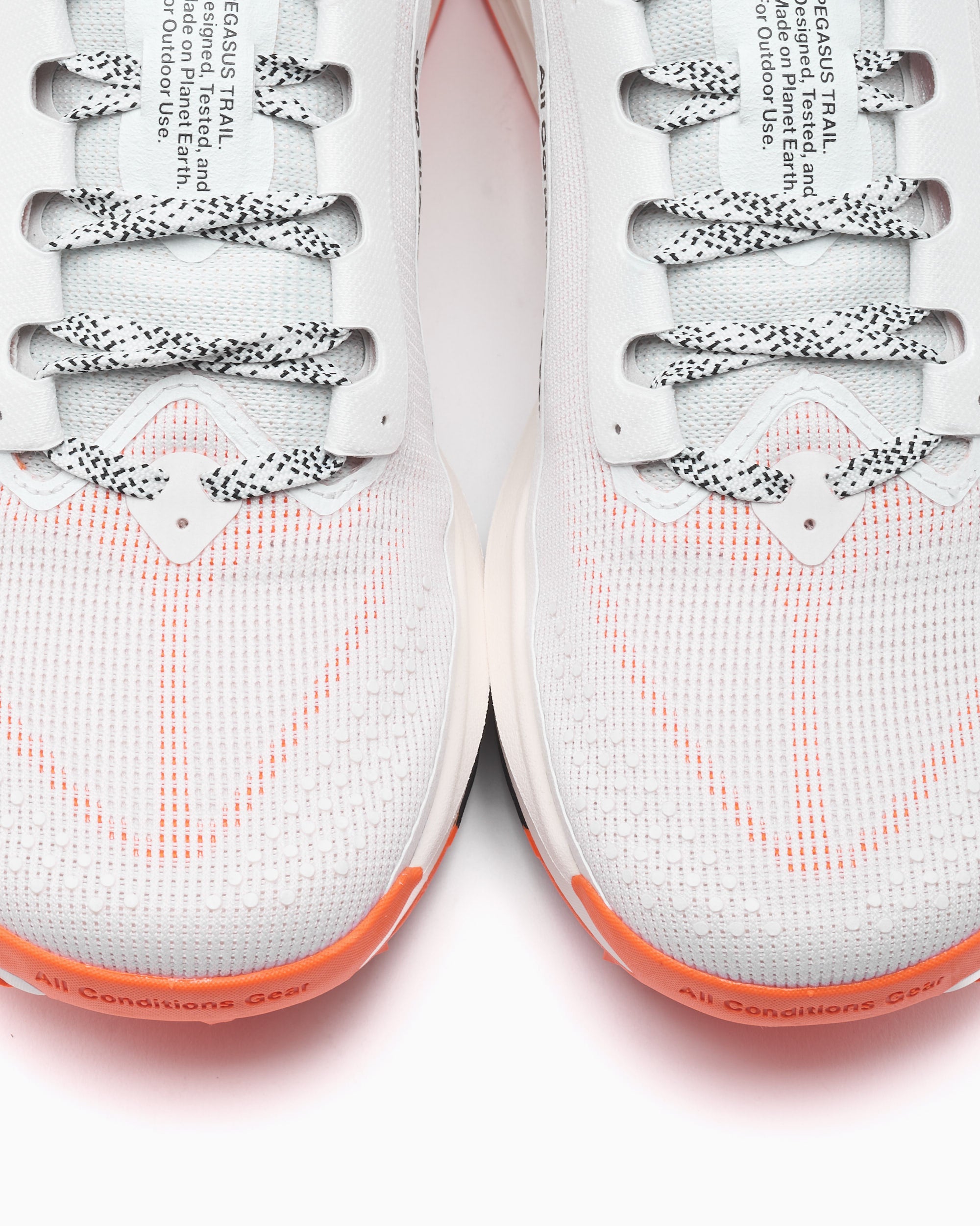 Sneakers Nike ACG Pegasus Trail - HV8116-103