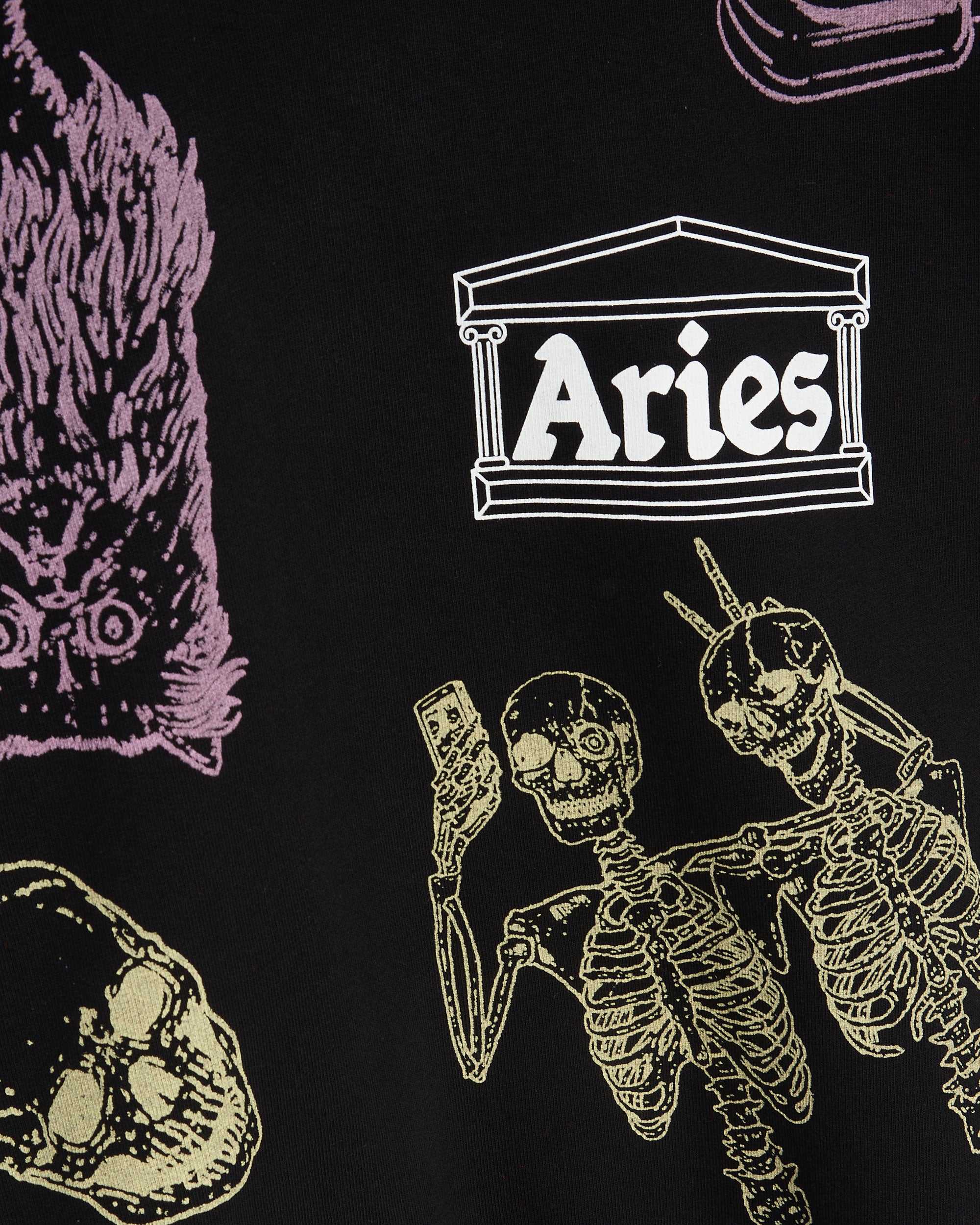 Sweatshirts Aries Cybin Unisex Sweatshirt Unisex Sweatshirt - FTAR20004-BLK