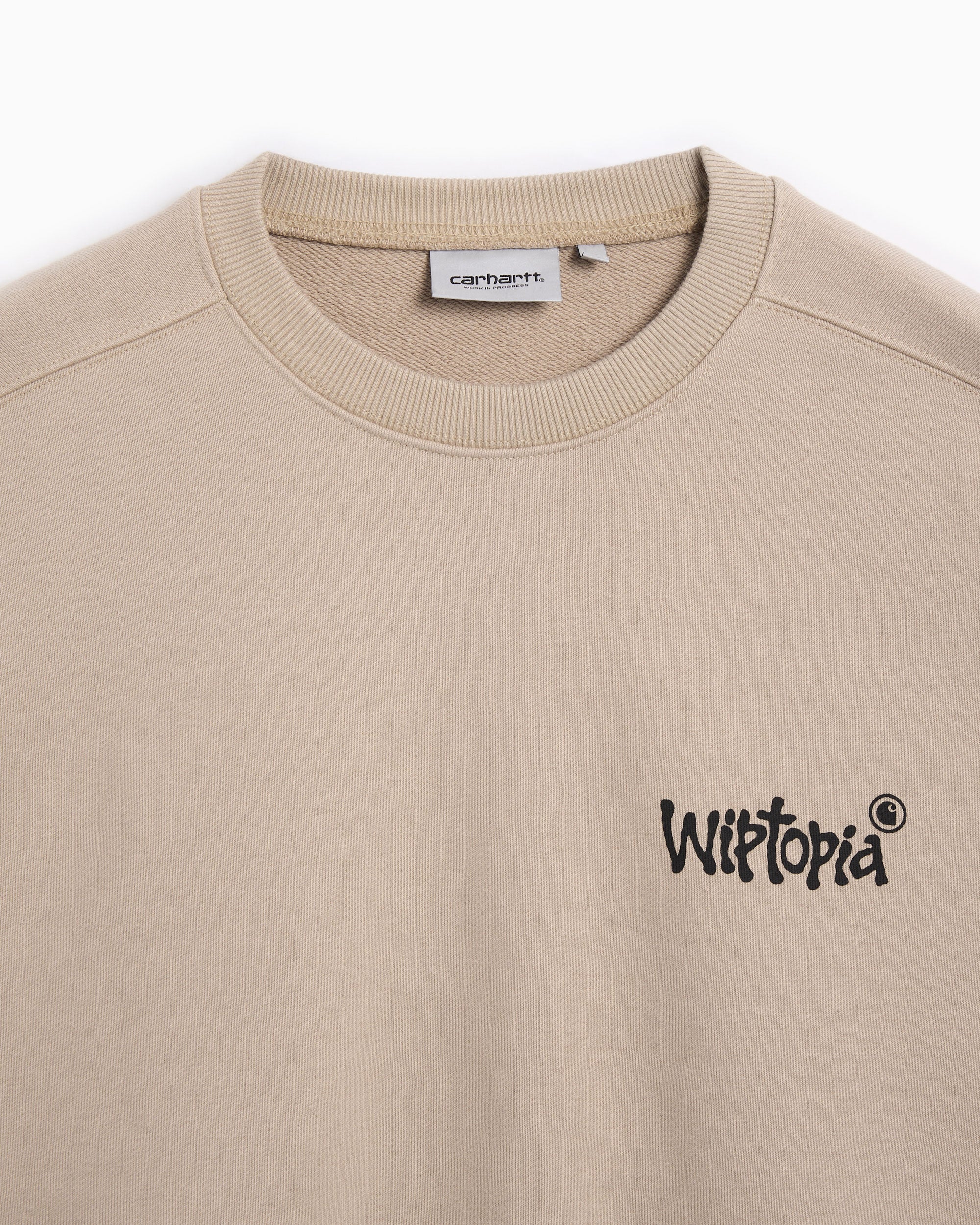 Sweatshirts Carhartt WIP Wiptopia Graphic Women's Sweatshirt - I035644-G1XX