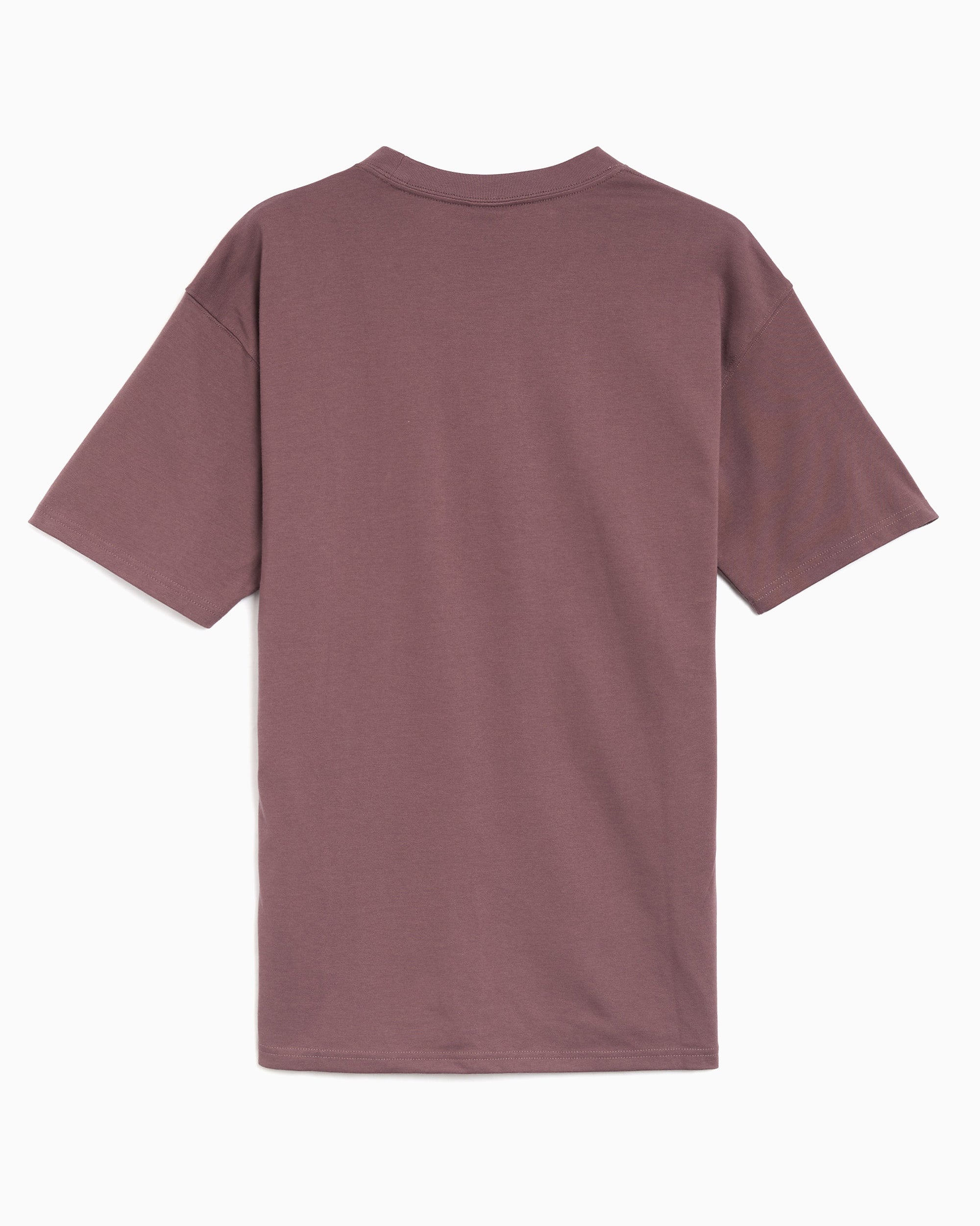 T-Shirts Nike ACG Logo Relaxed Men's T-Shirt - DC5356-502